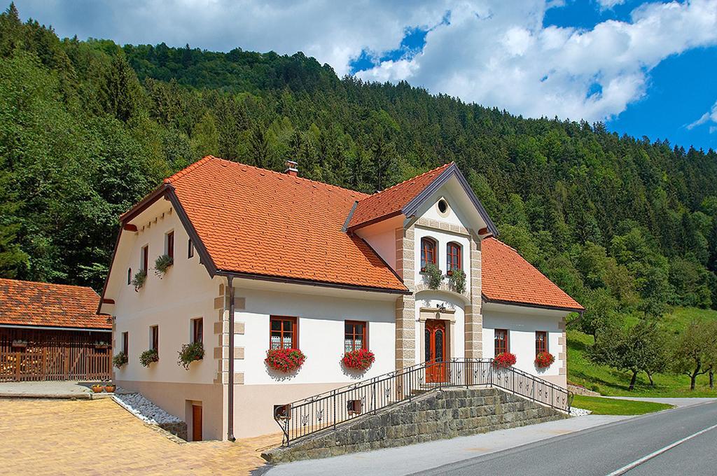 Farm Stay Bukovje Ljubno Ngoại thất bức ảnh